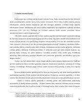 Darbo sutarties sudarymas 10 puslapis