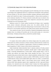 ES ir Rusijos santykis 11 puslapis