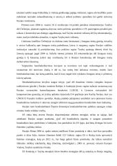 ES ir Rusijos santykis 14 puslapis