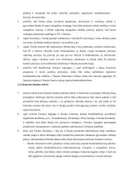 ES ir Rusijos santykis 9 puslapis