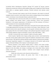 Finansinė verslo skatinimo sistema Lietuvoje 11 puslapis