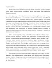 Finansinė verslo skatinimo sistema Lietuvoje 13 puslapis