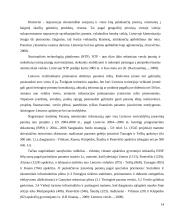 Finansinė verslo skatinimo sistema Lietuvoje 14 puslapis