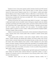 Finansinė verslo skatinimo sistema Lietuvoje 15 puslapis