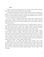 Finansinė verslo skatinimo sistema Lietuvoje 17 puslapis
