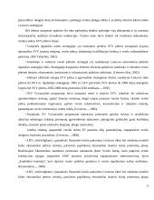 Finansinė verslo skatinimo sistema Lietuvoje 6 puslapis