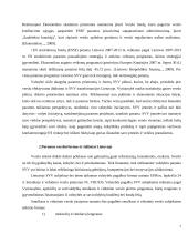 Finansinė verslo skatinimo sistema Lietuvoje 7 puslapis
