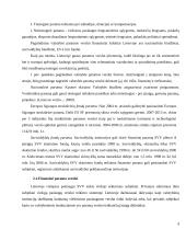 Finansinė verslo skatinimo sistema Lietuvoje 9 puslapis