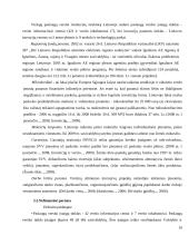Finansinė verslo skatinimo sistema Lietuvoje 10 puslapis