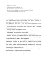 Gamybos efektyvumo didinimo rezervai vadybiniu aspektu 11 puslapis