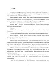 Gamybos efektyvumo didinimo rezervai vadybiniu aspektu 3 puslapis