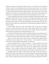 Incidentų valdymo sprendimai 11 puslapis