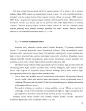 Incidentų valdymo sprendimai 13 puslapis