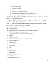 Incidentų valdymo sprendimai 19 puslapis