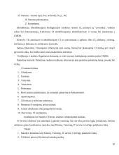 Incidentų valdymo sprendimai 20 puslapis