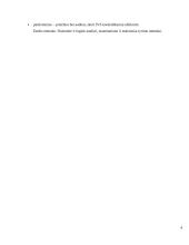 Incidentų valdymo sprendimai 4 puslapis