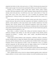 Incidentų valdymo sprendimai 7 puslapis