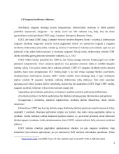 Incidentų valdymo sprendimai 9 puslapis