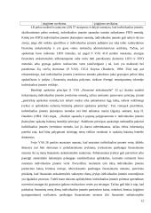 Individualios įmonės apskaita 12 puslapis
