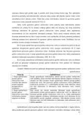 Individualios įmonės apskaita 13 puslapis