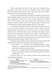 Individualios įmonės apskaita 7 puslapis