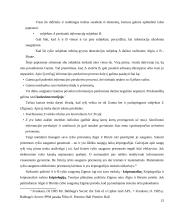 Interaktyvi "Vegenere" kripto sistemos vizualizacija 15 puslapis