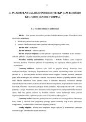 Jaunimo laisvalaikio poreikių tenkinimas Rokiškio kultūros centre 17 puslapis