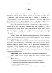 Jaunimo laisvalaikio poreikių tenkinimas Rokiškio kultūros centre 3 puslapis