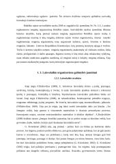 Jaunimo laisvalaikio poreikių tenkinimas Rokiškio kultūros centre 7 puslapis