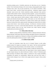 Kavinės "Pelenė" verslo planas 11 puslapis