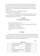 Kavinės "Pelenė" verslo planas 13 puslapis