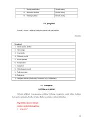 Kavinės "Pelenė" verslo planas 14 puslapis