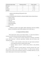 Kavinės "Pelenė" verslo planas 16 puslapis