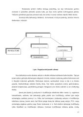 Kavinės "Pelenė" verslo planas 17 puslapis