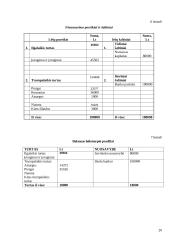 Kavinės "Pelenė" verslo planas 20 puslapis