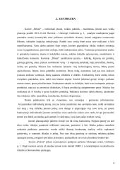 Kavinės "Pelenė" verslo planas 4 puslapis