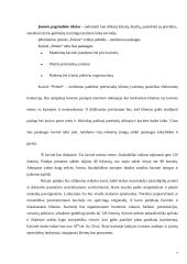 Kavinės "Pelenė" verslo planas 7 puslapis