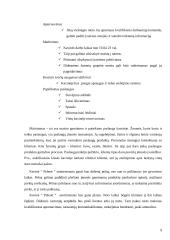 Kavinės "Pelenė" verslo planas 9 puslapis