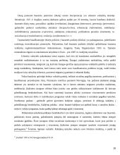 Kriminalinės bausmės esmė ir tikslai 18 puslapis