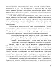 Kriminalinės bausmės esmė ir tikslai 19 puslapis