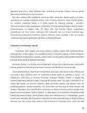 Kriminalinės bausmės esmė ir tikslai 10 puslapis