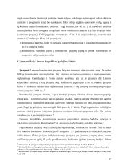 Konstitucinės įstatymų leidybos sistema 17 puslapis