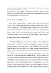 Konstitucinės įstatymų leidybos sistema 4 puslapis