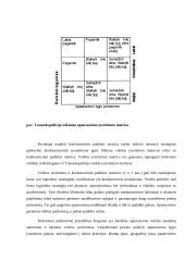 Logistikos namų darbas 20 puslapis