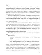 Makroekonominių rodiklių įtaka akcijų kainoms 2 puslapis