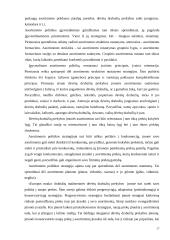 "Europos mada" dėvėtų drabužių įvedimas į rinką 17 puslapis
