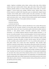 "Europos mada" dėvėtų drabužių įvedimas į rinką 20 puslapis