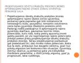 Mažmeninės dėvėtų drabužių prekybos analizė 10 puslapis