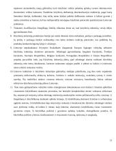 Meno politika ir reguliavimas 13 puslapis