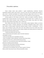 Meno politika ir reguliavimas 3 puslapis